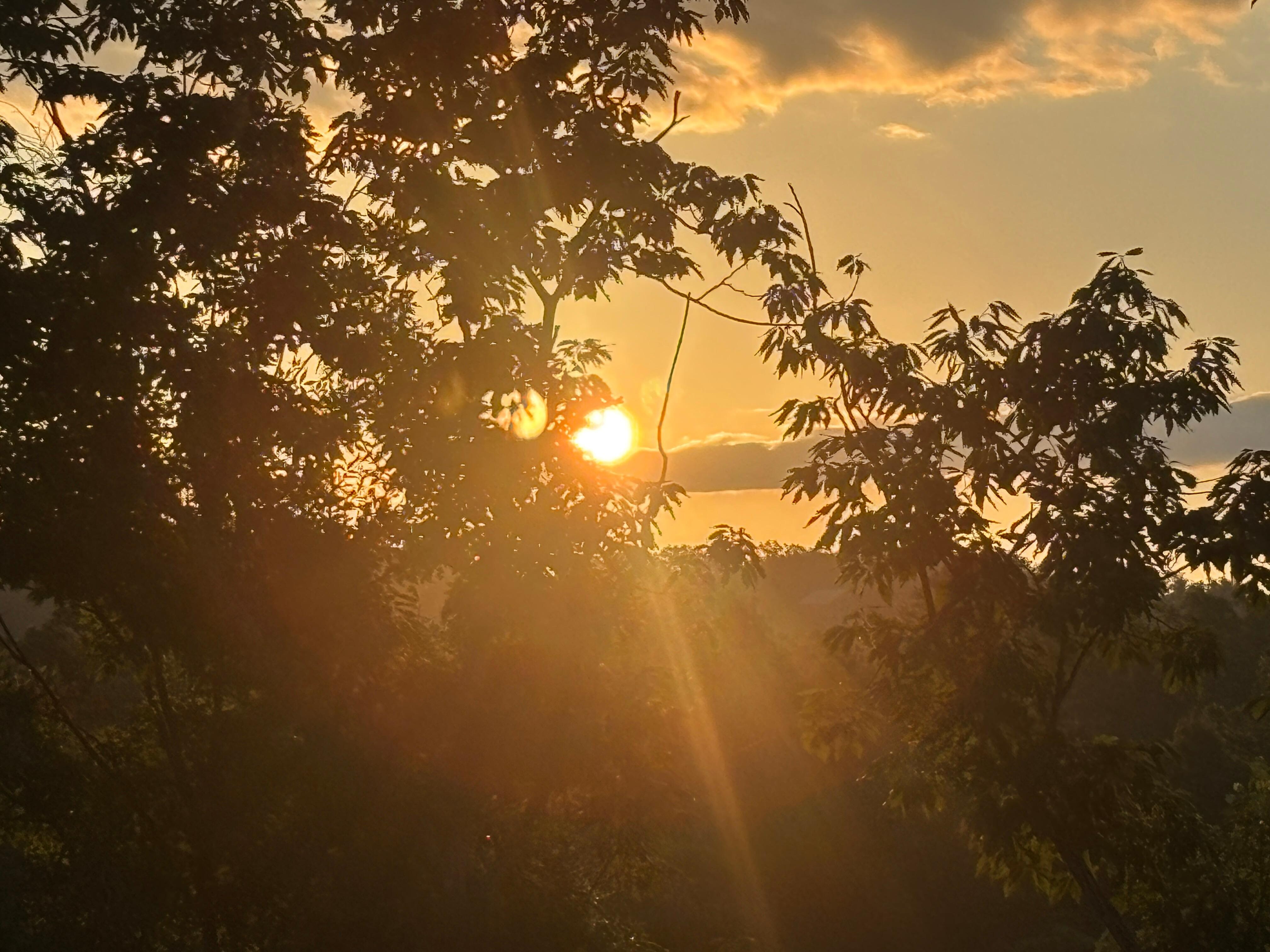 Sunrise