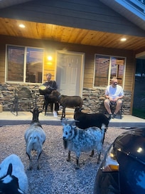 Beautiful quiet night in the Hills.