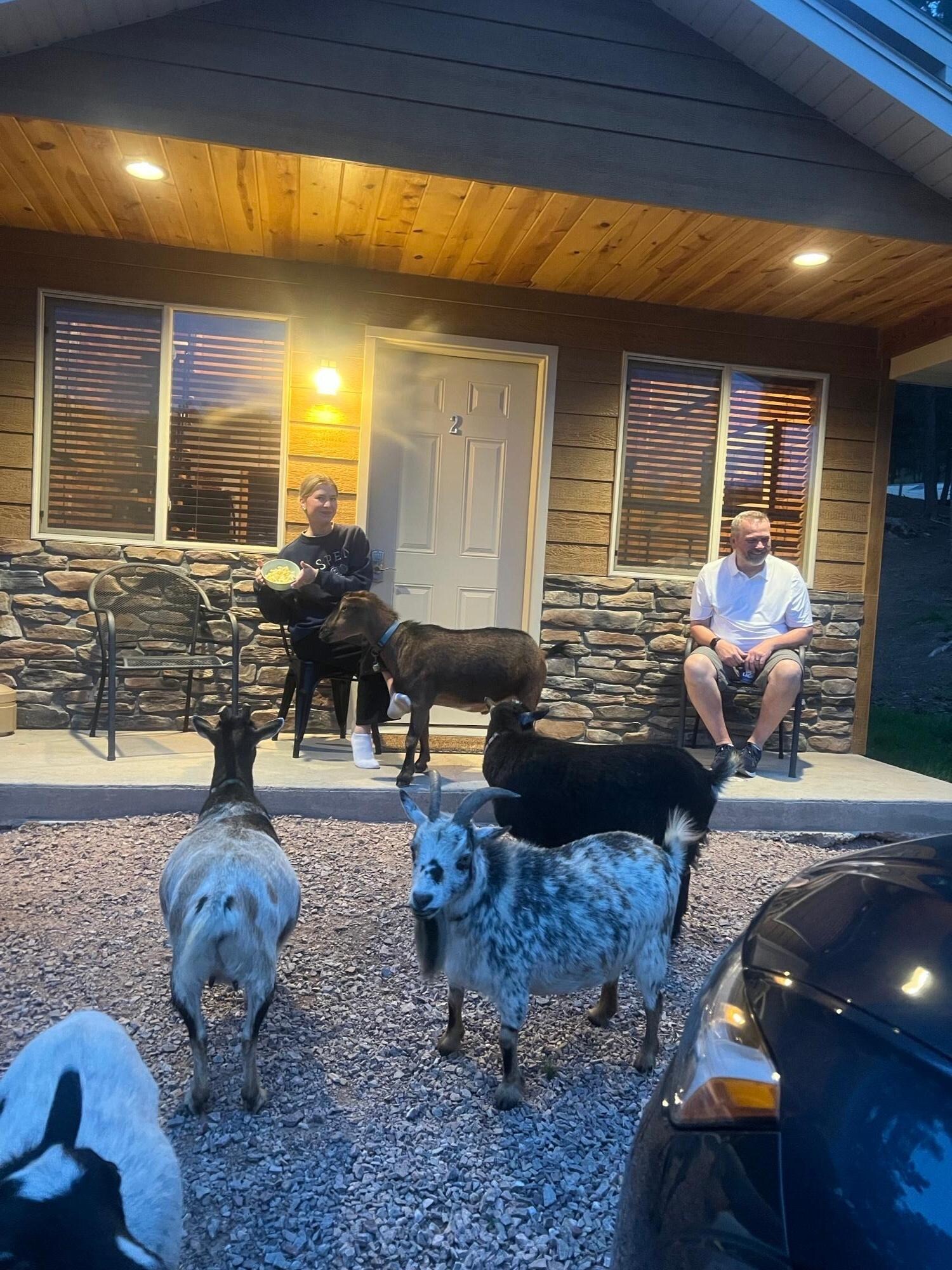Beautiful quiet night in the Hills.