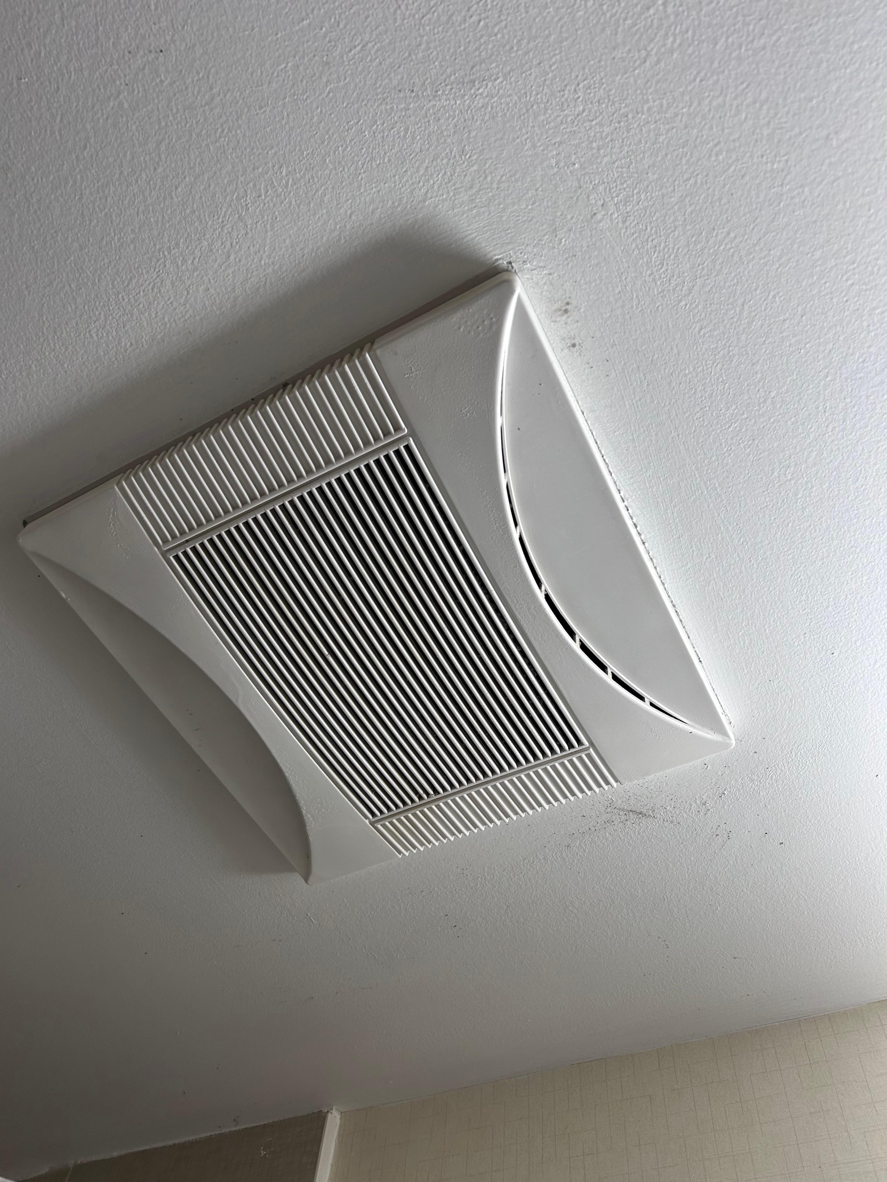 This is only some of the mold. 