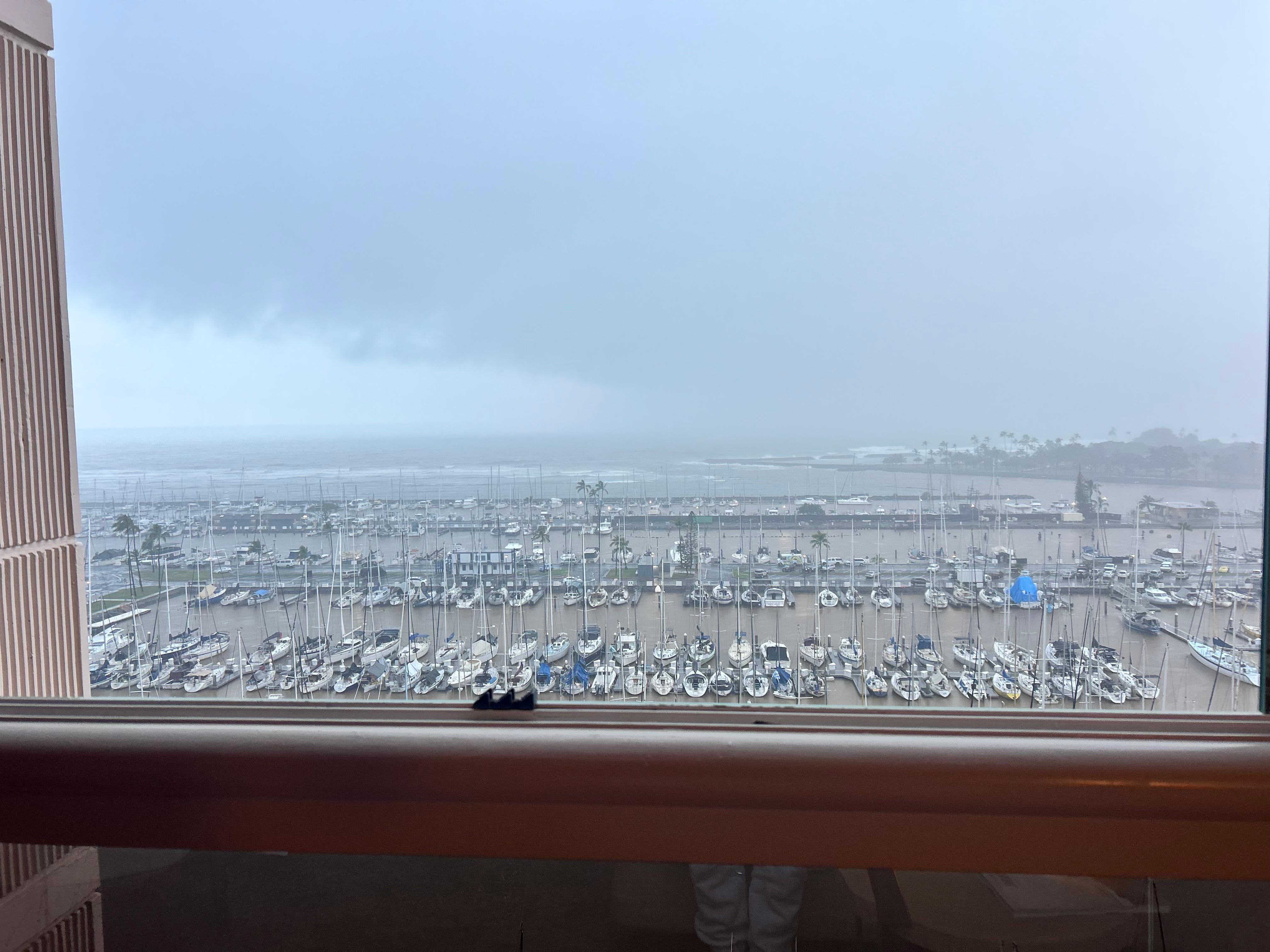 View from room, windows can open.