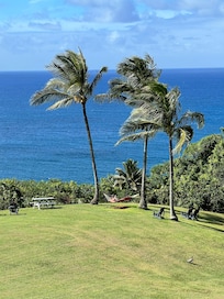 Picture from the Balcony/Lanai.