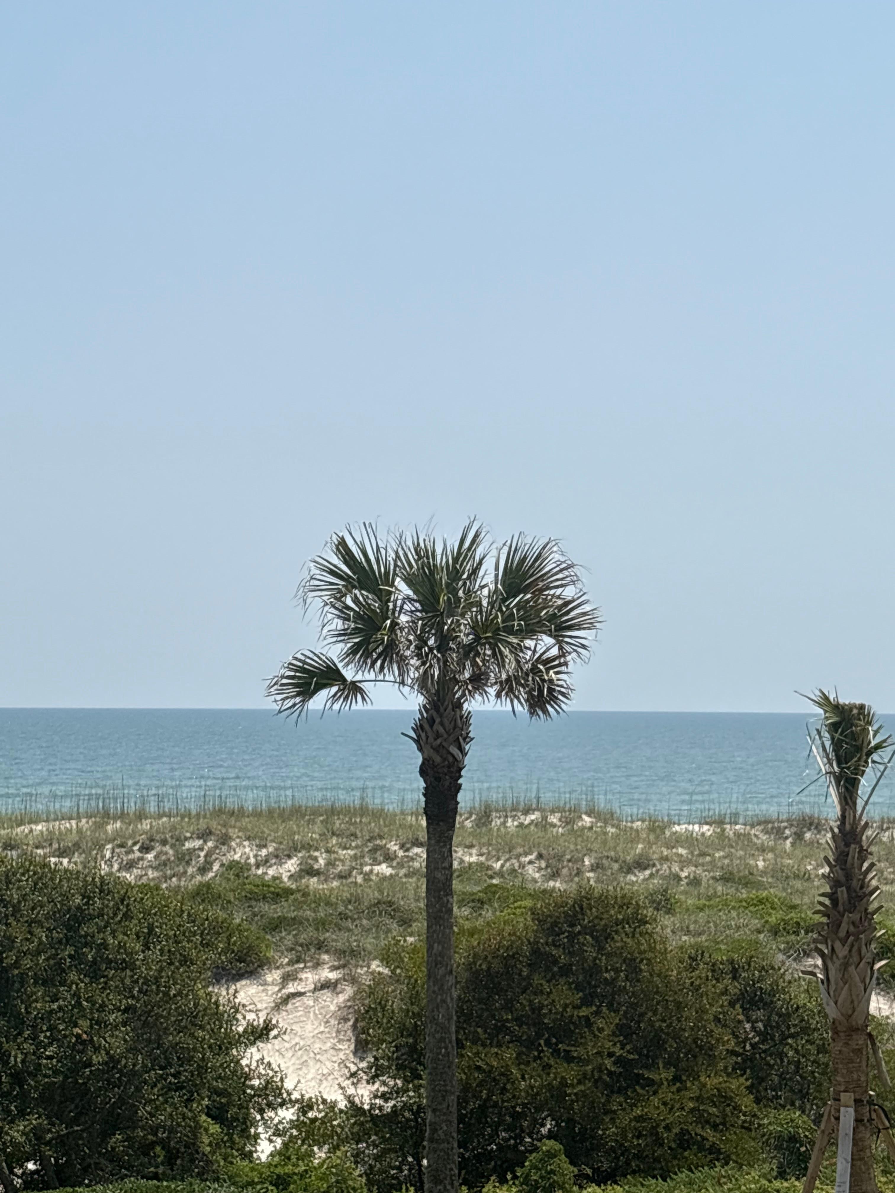 View from balcony 