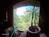 View from the inside of the living room.