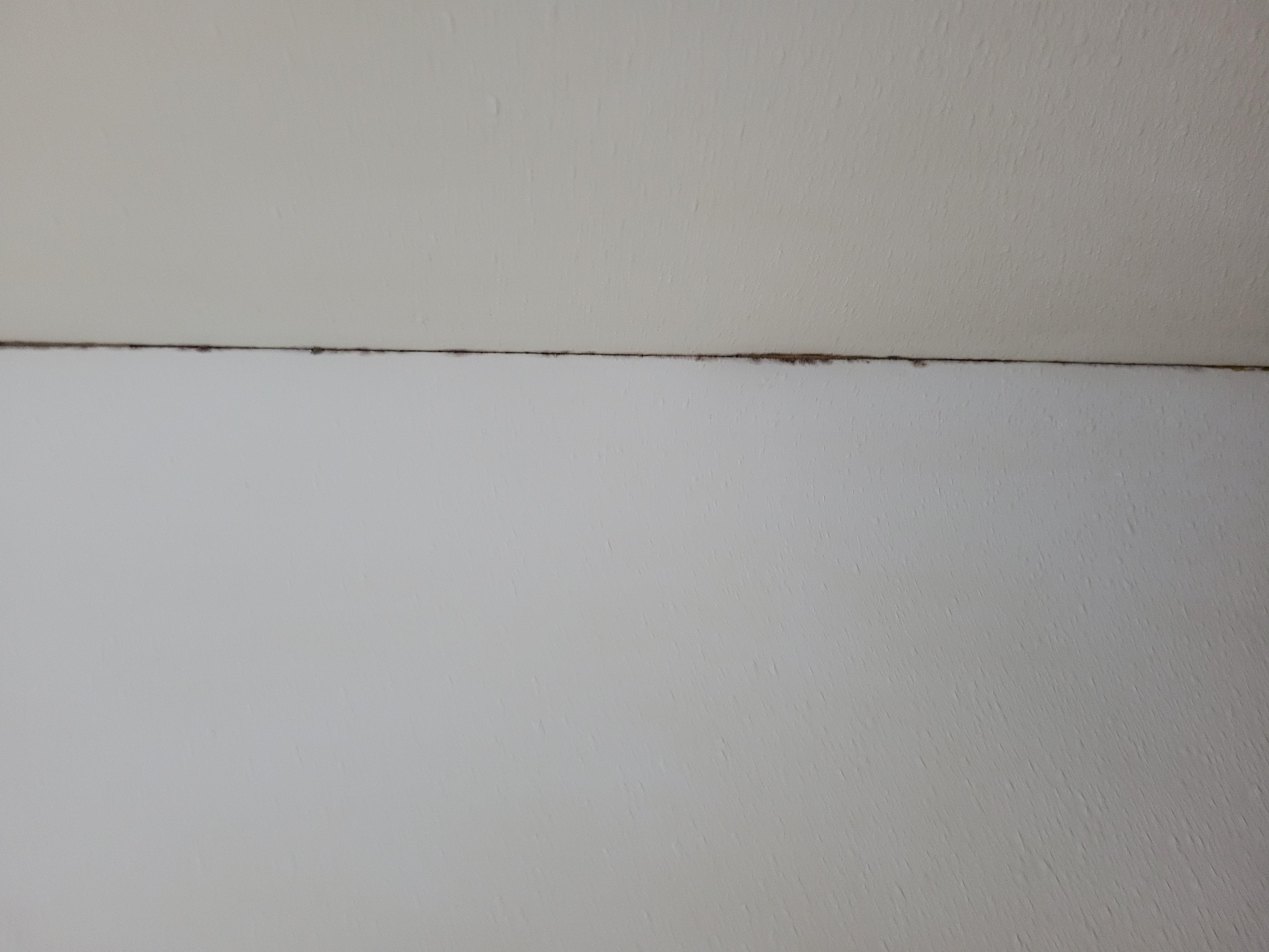 Parede do box por onde saíam os bichos da umidade ao ligarmos o chuveiro