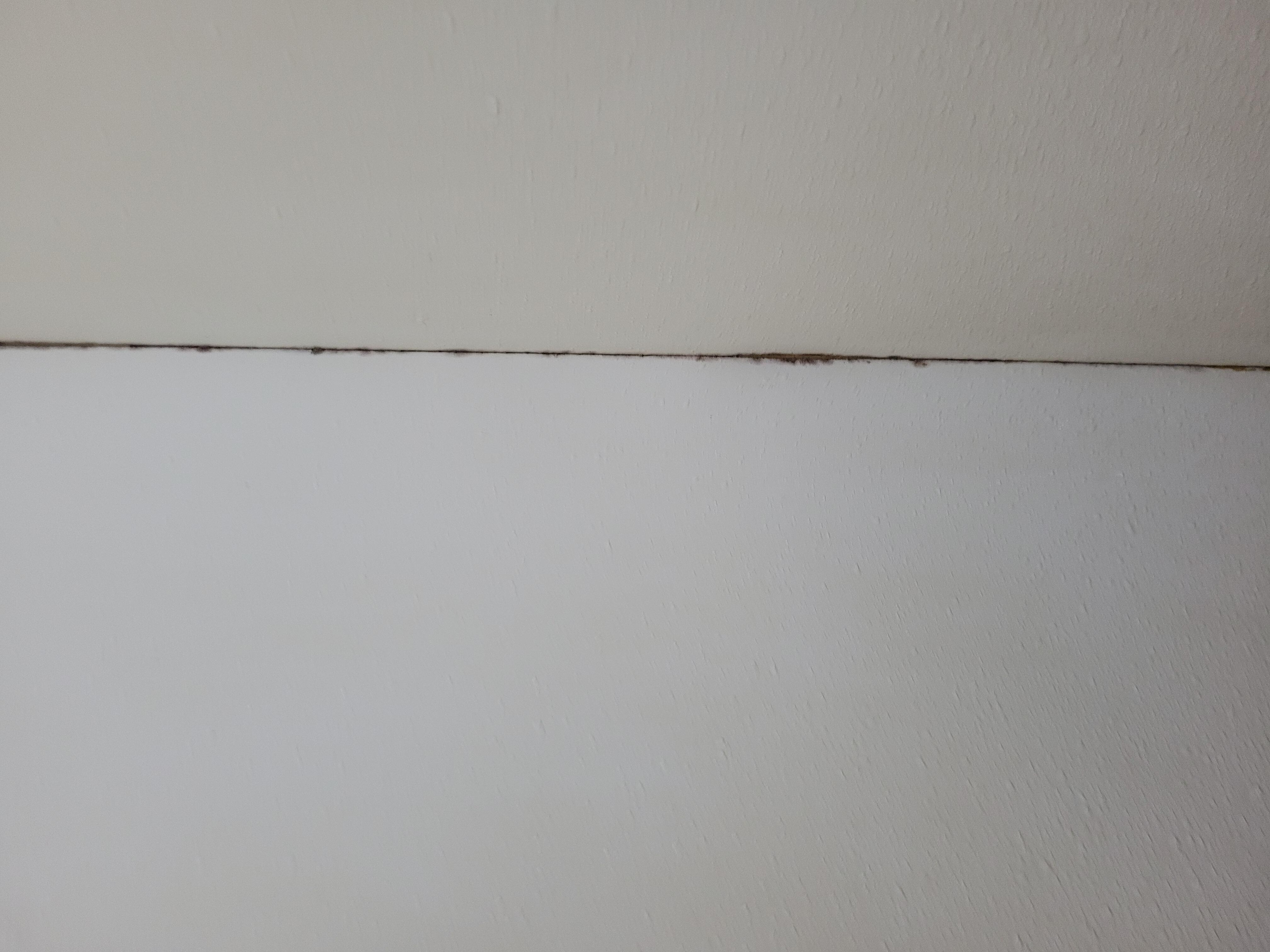 Parede do box por onde saíam os bichos da umidade ao ligarmos o chuveiro