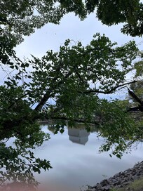 荒池