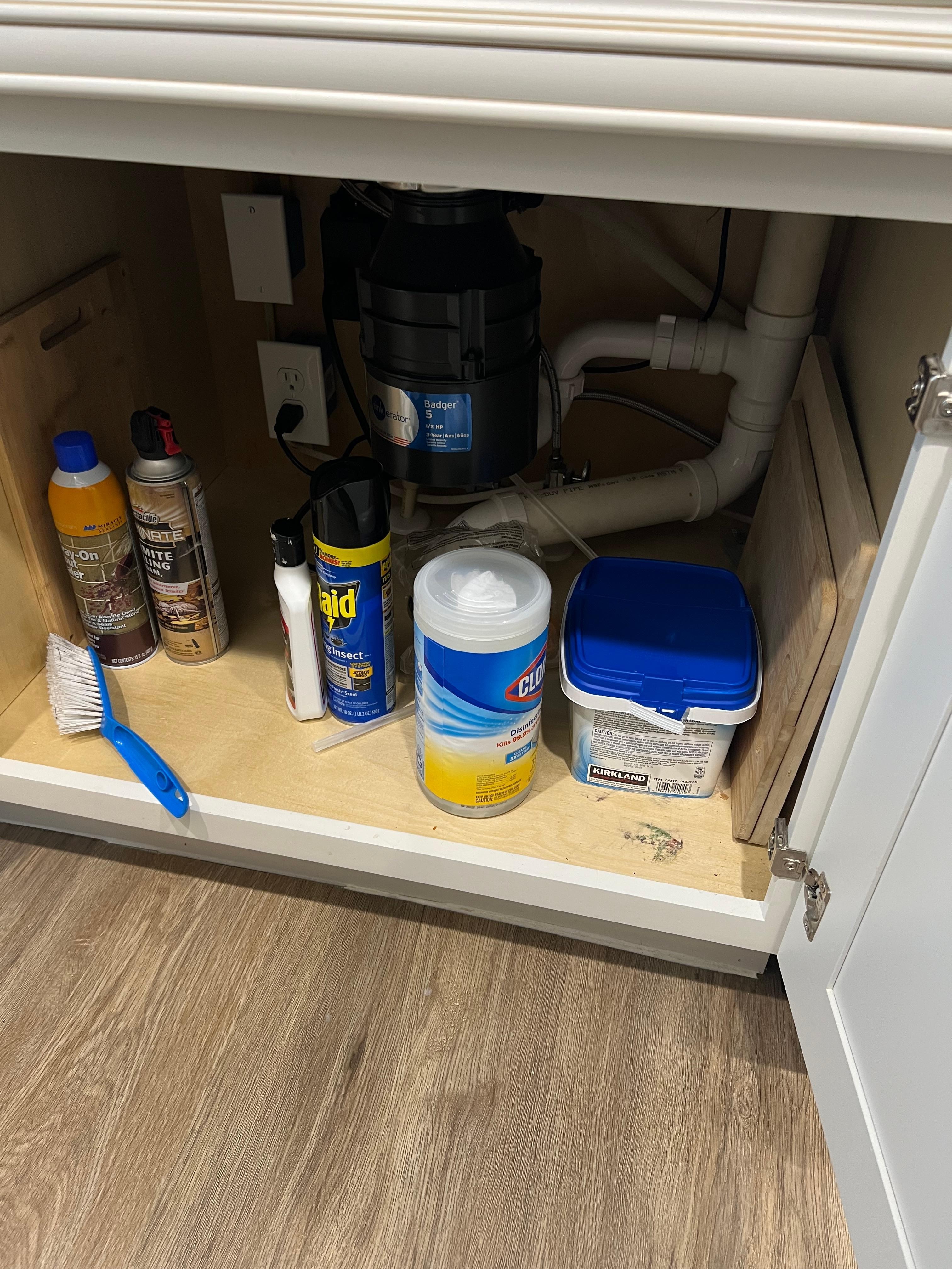 Under the kitchen sink, the cleaning supplies provided. 