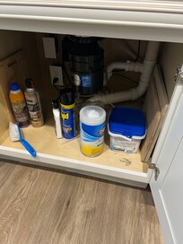 Under the kitchen sink, the cleaning supplies provided.