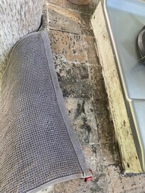 Mouldy kitchen bench with an ecoli sample towel covering it...hungry anyone?