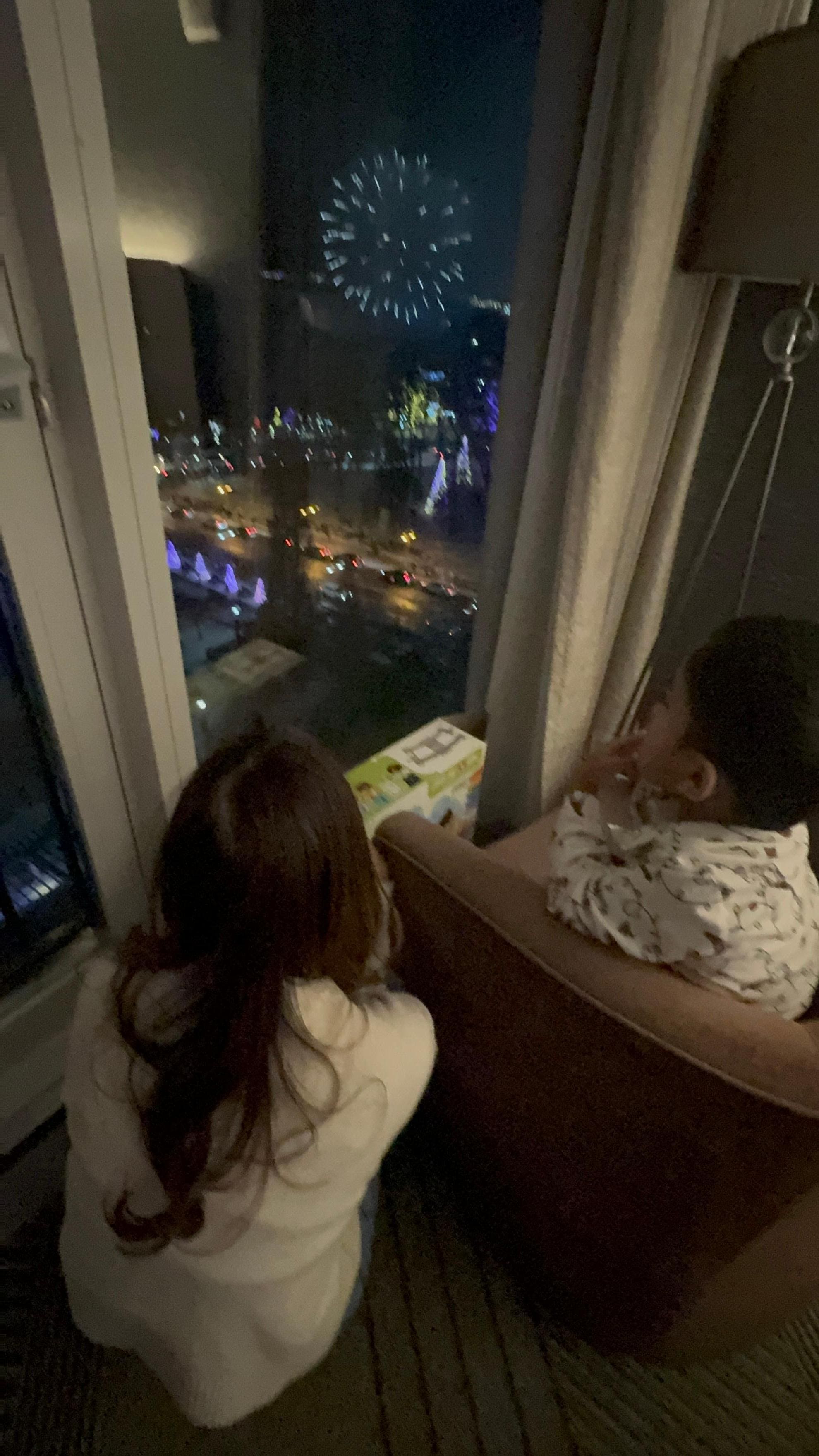 Fireworks in the falls and this was our view in our room. 