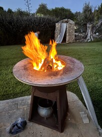 Wood bbq on property