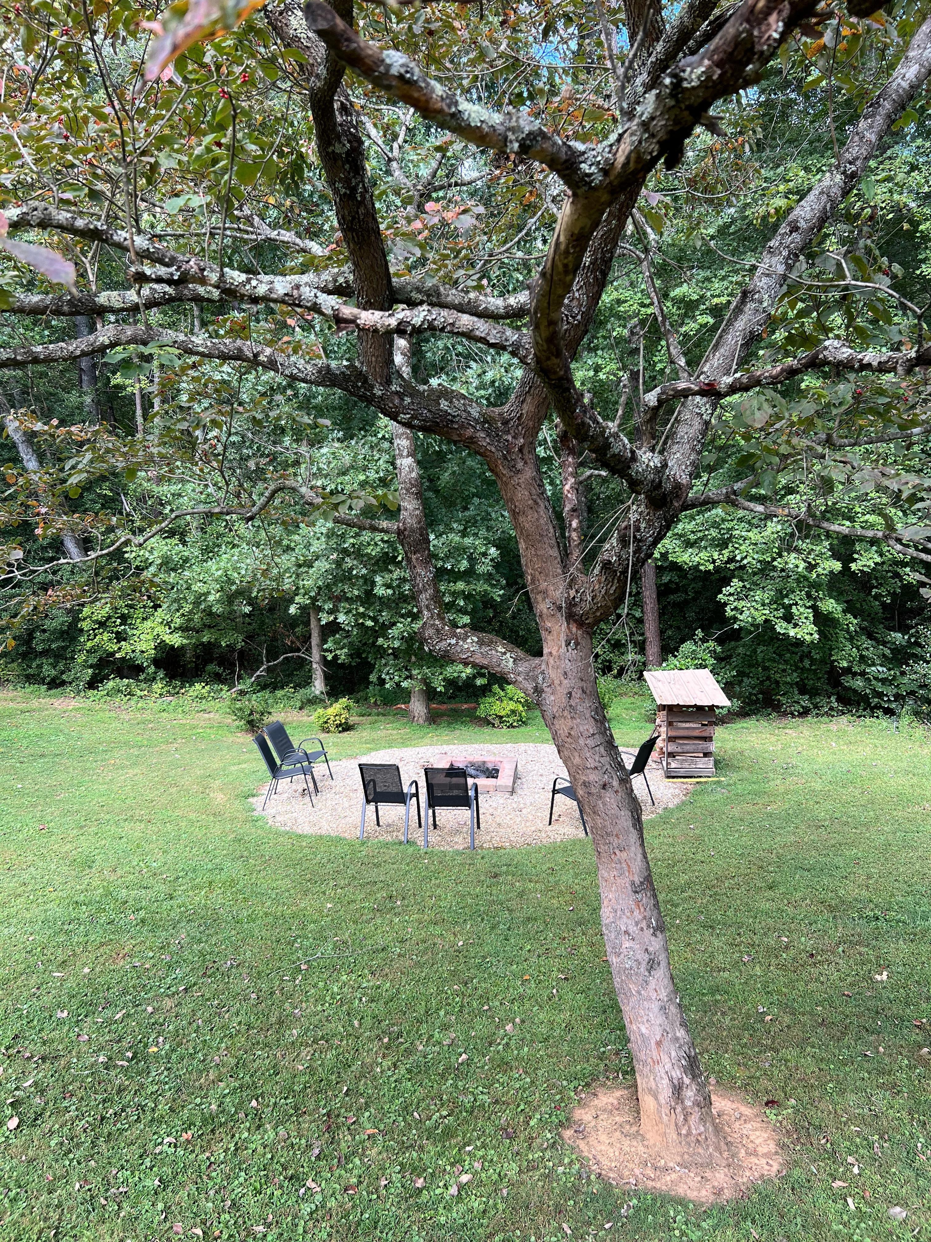 Lovely fire pit area in the backyard