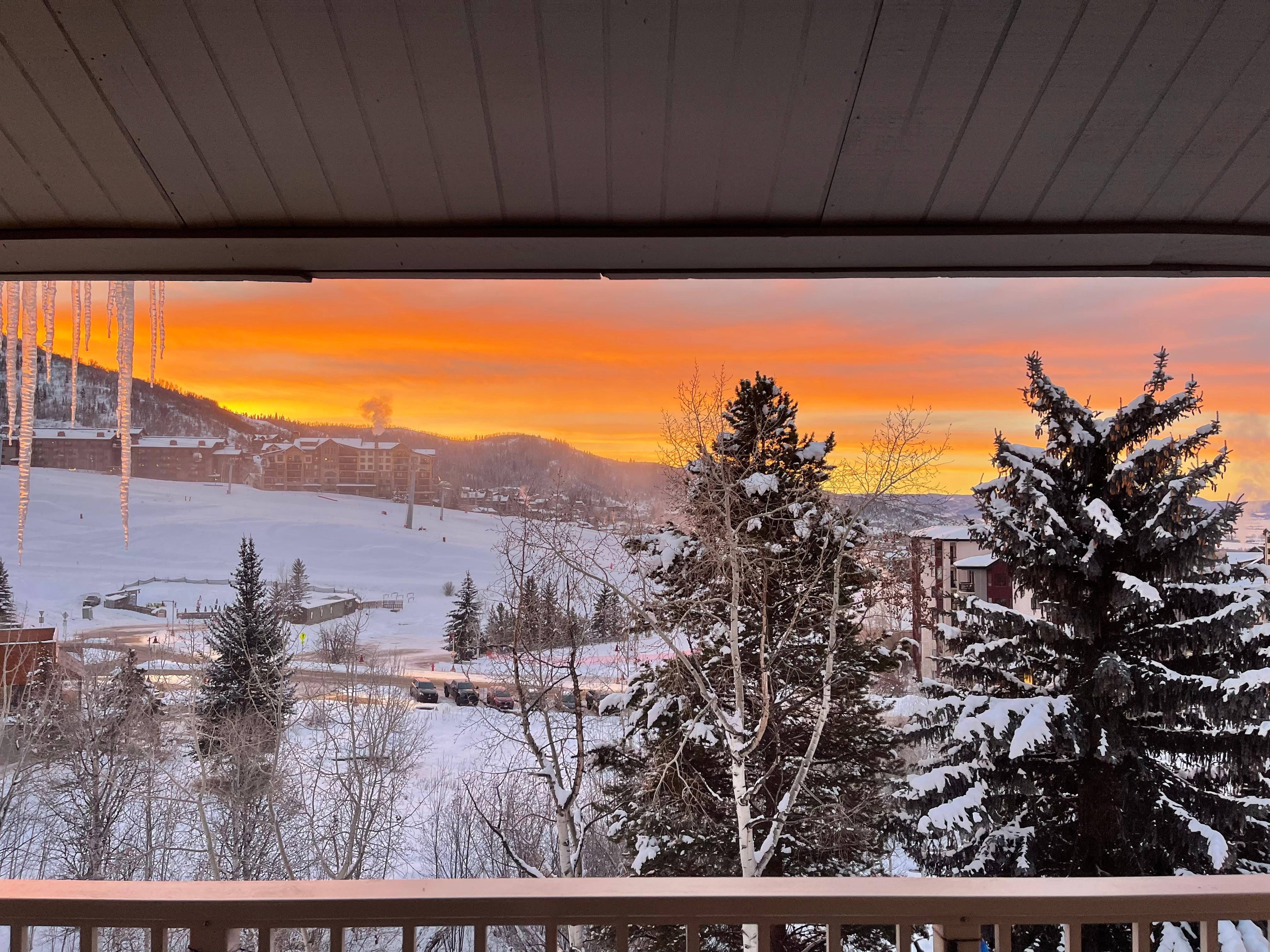 Balcony View