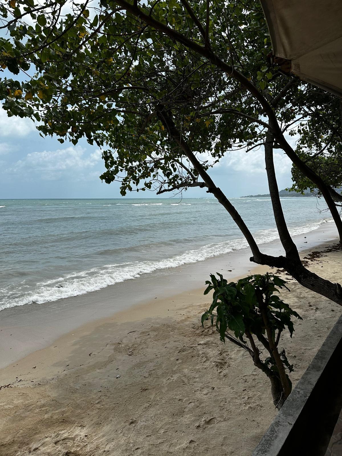 The beach