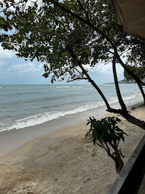 The beach