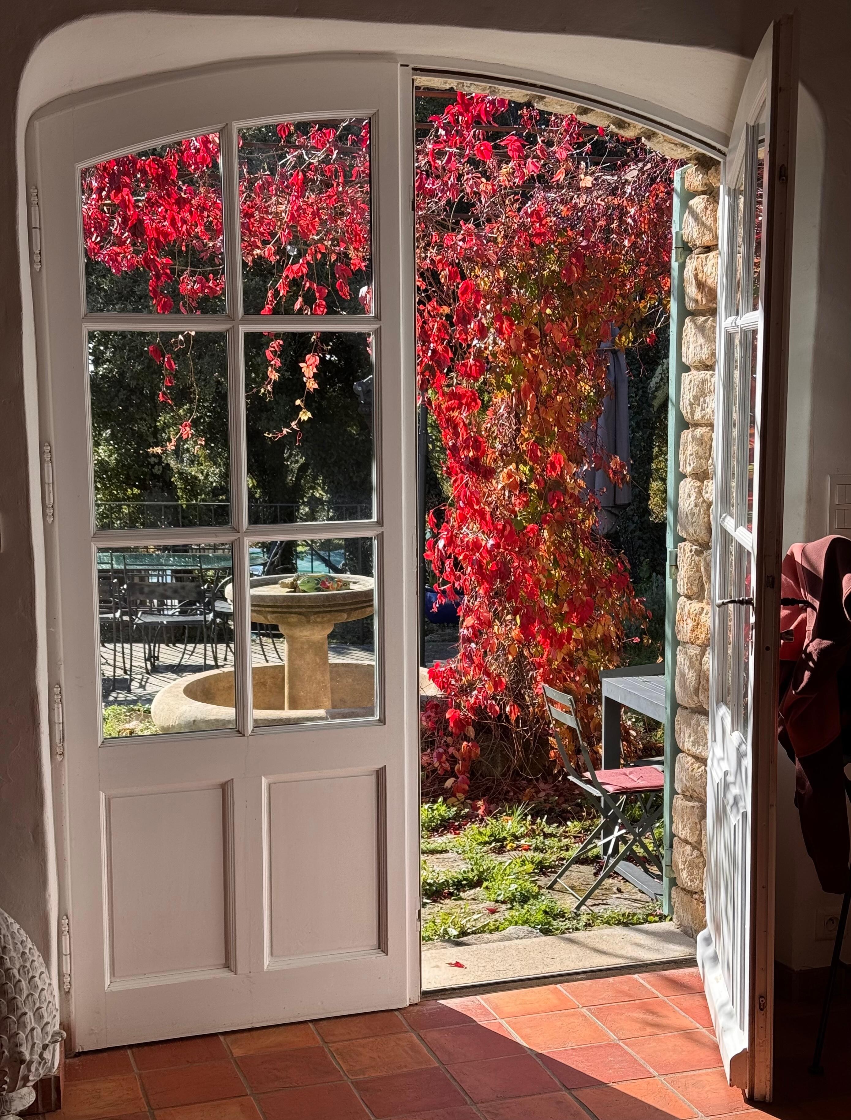 view from the Breakfast room