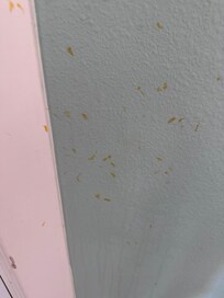 Filthy stained walls