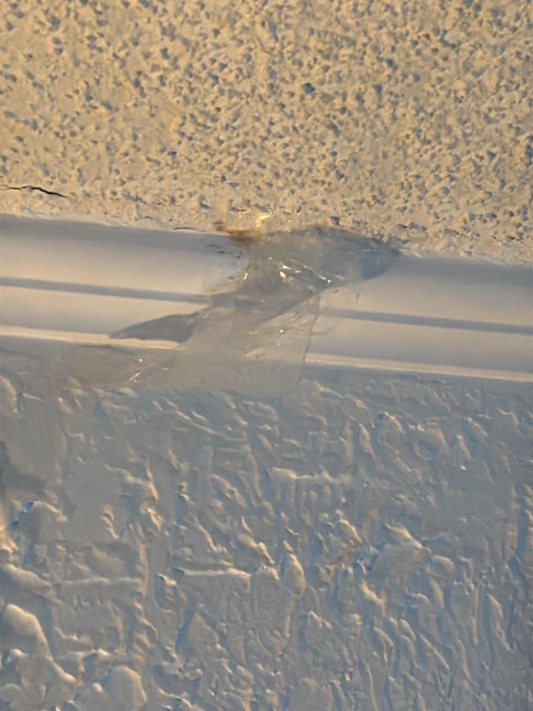 WTF is this sticking all over the ceiling and walls