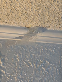 WTF is this sticking all over the ceiling and walls