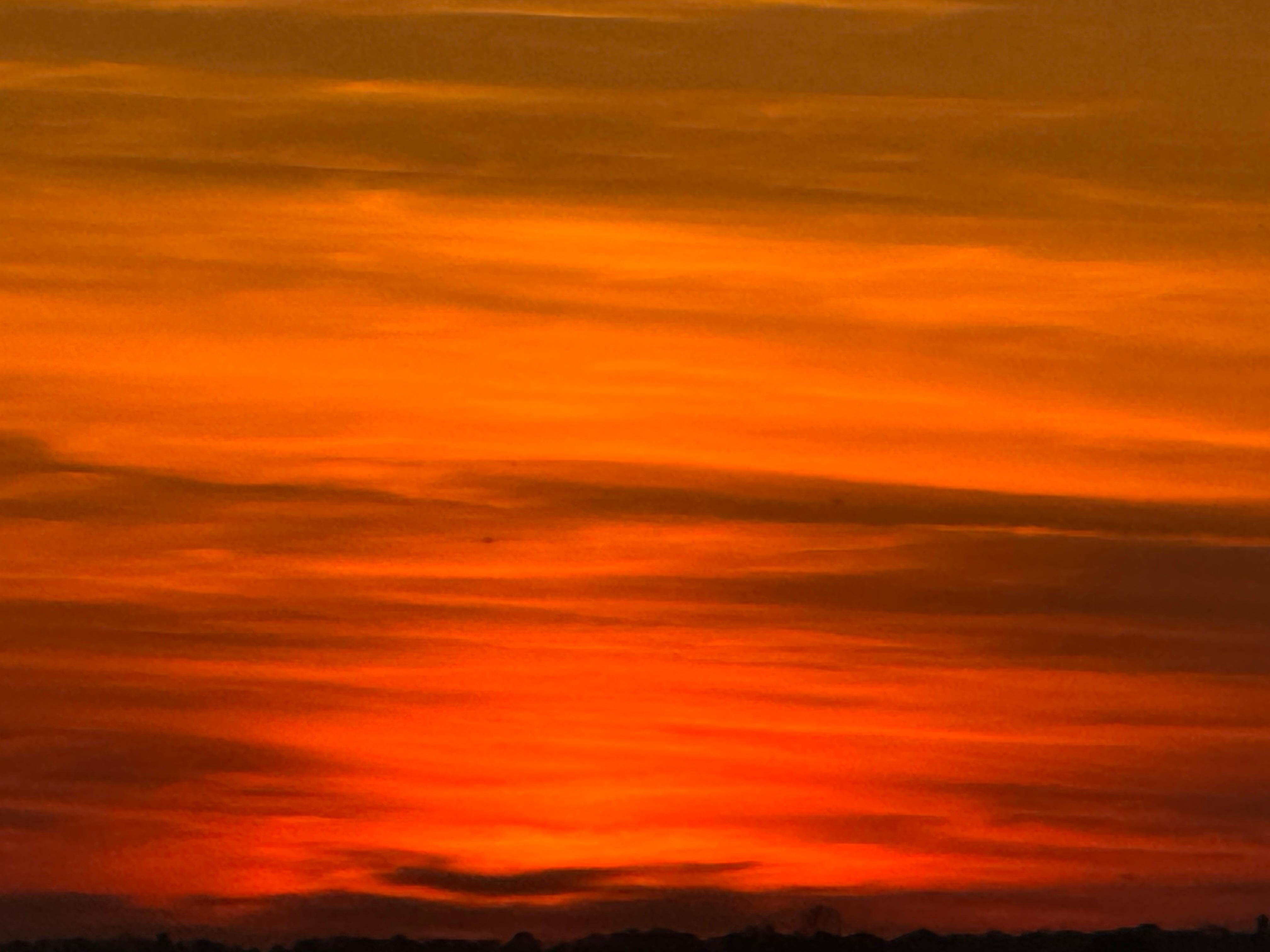 Sunset over the field 