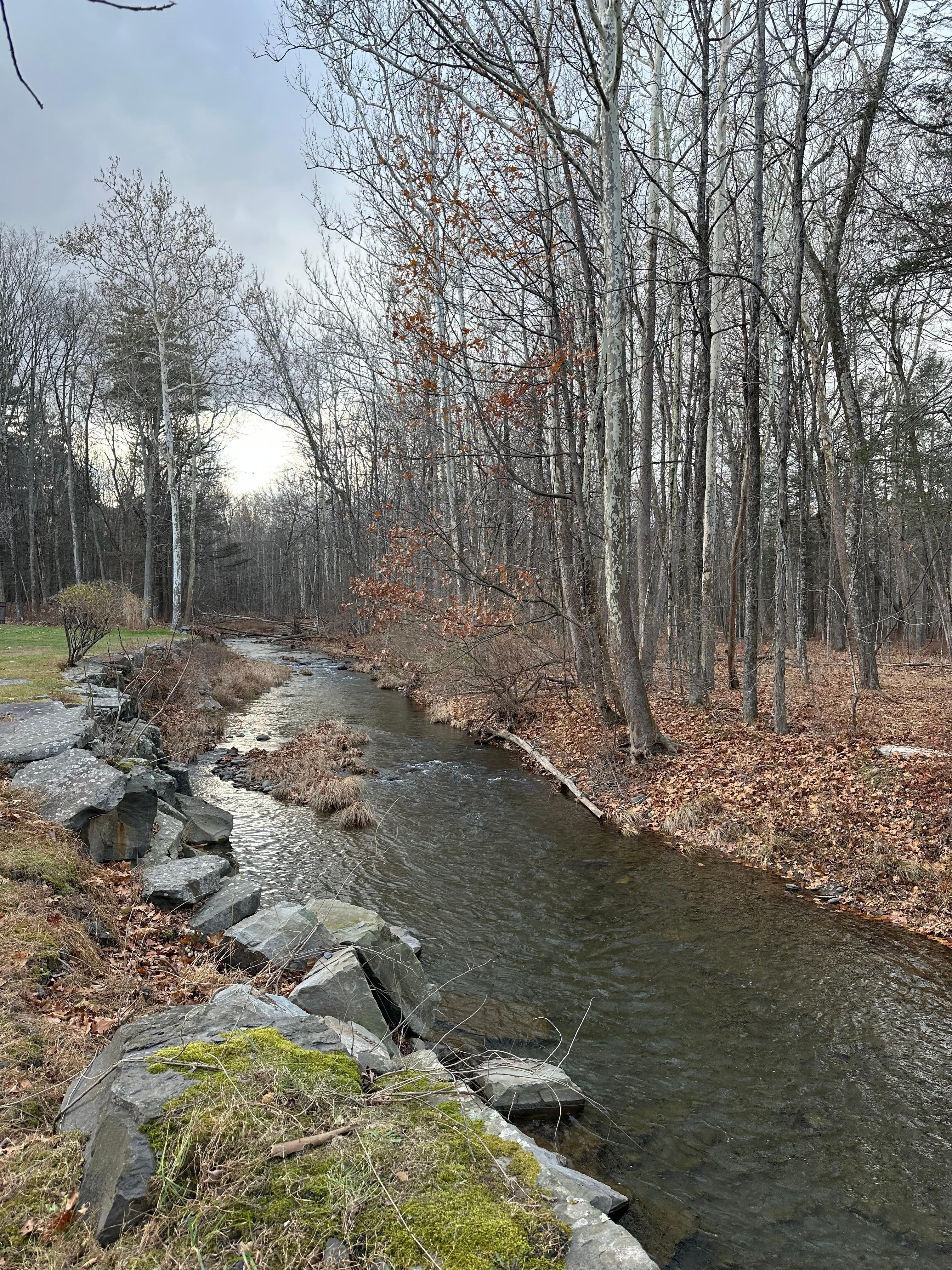 Lovely creek running through edge of property.