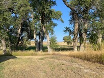 Side of house looking toward creek