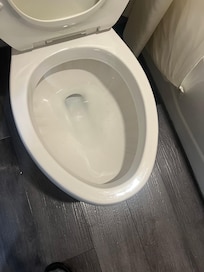 I cleaned toilet with my wipes, brown stains, but I was too DISGUSTED to scrub the poop inside! 🦠🤢🤮