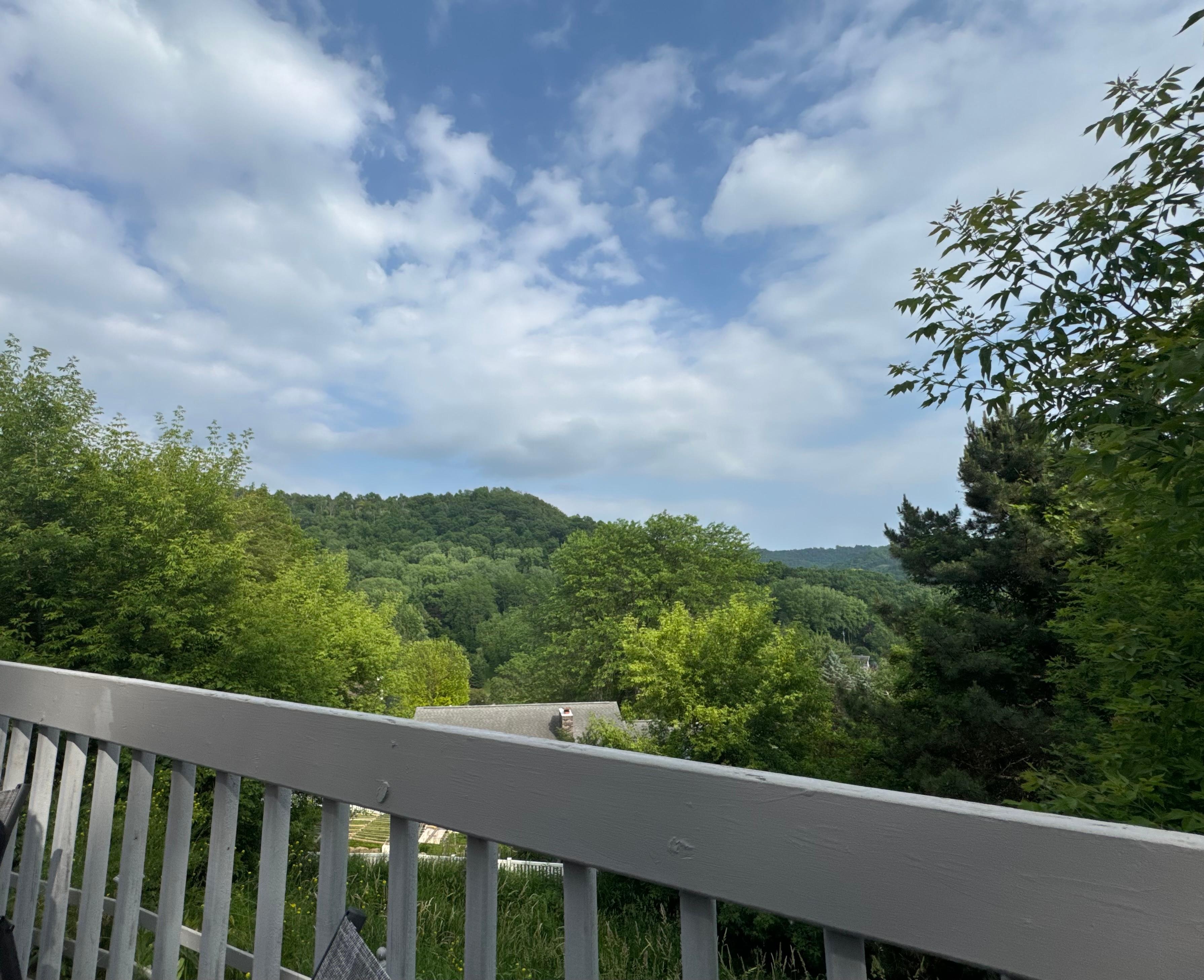 View on the deck