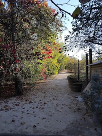 More autumn colours