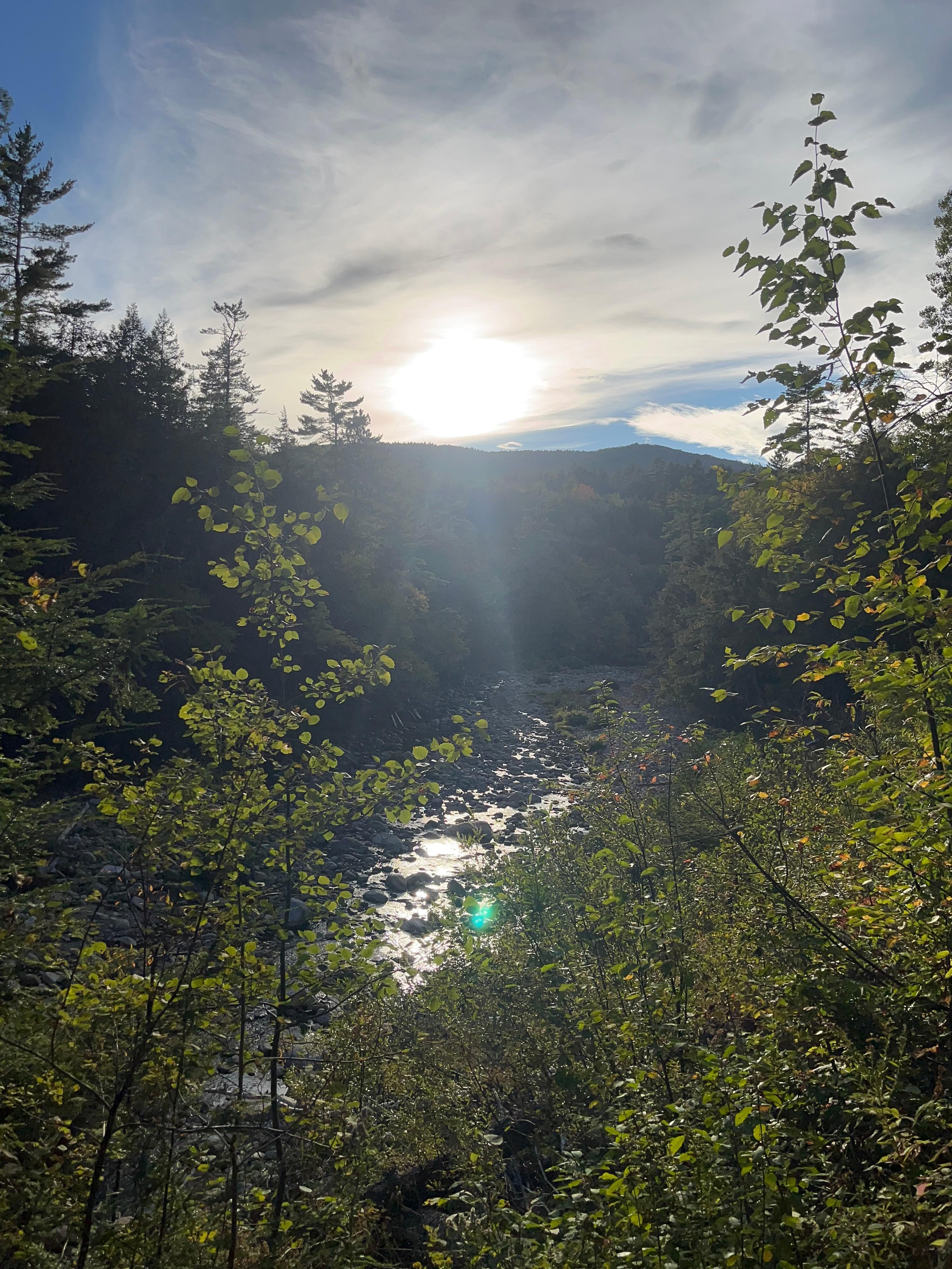 Out on the trail on the property 