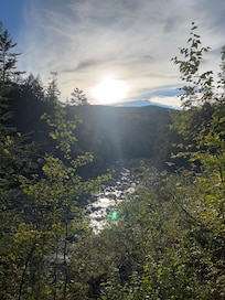 Out on the trail on the property