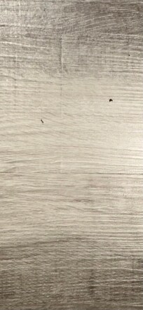 The ants are hard to see but you can zoom in