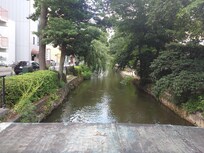 近所にある運河沿いをお散歩しました。