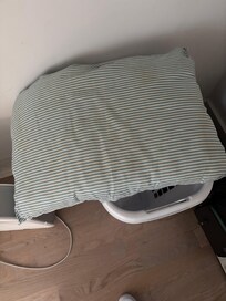 Saliva ring on the pillow