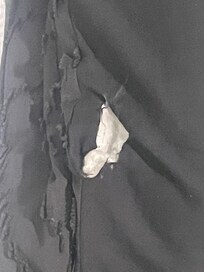 Torn dirty comforter