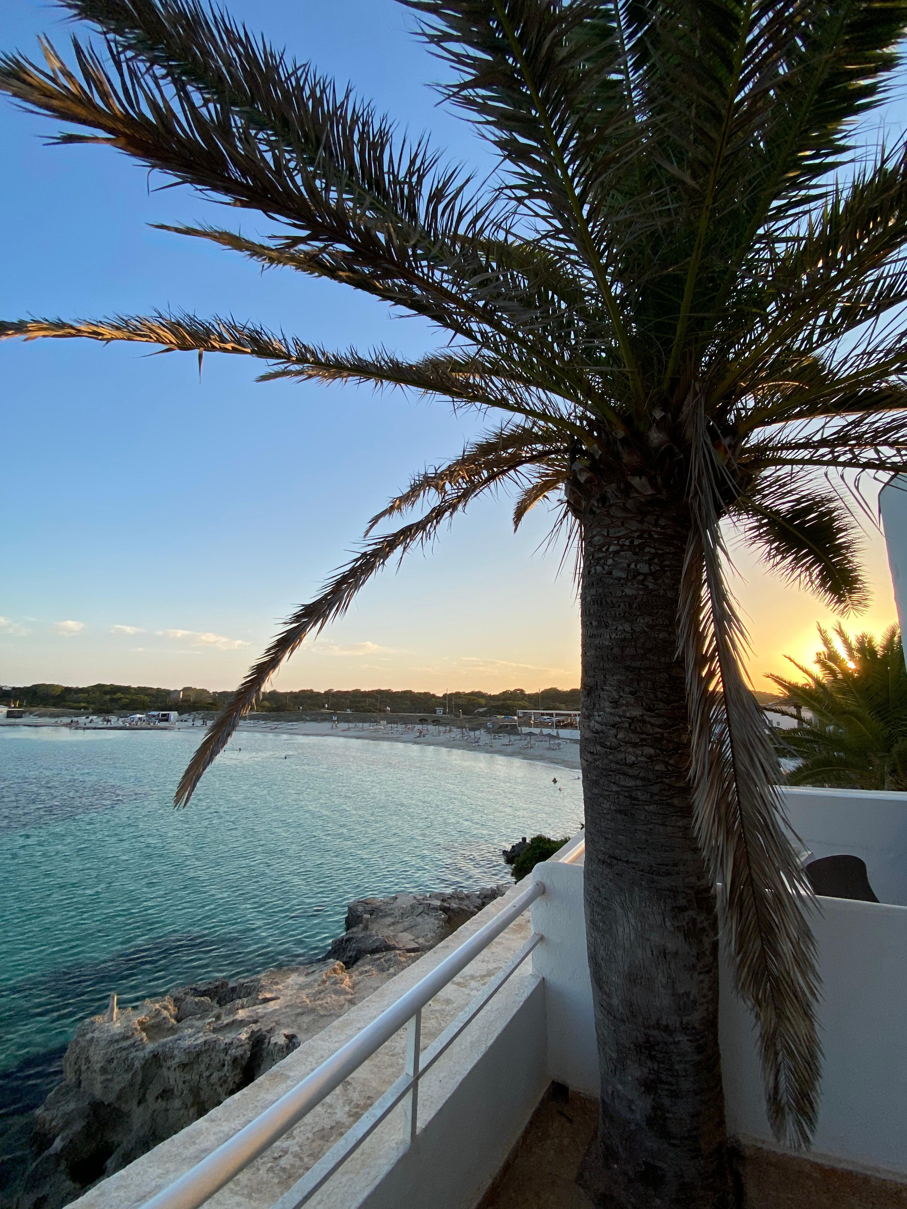 Ausblick vom Balkon