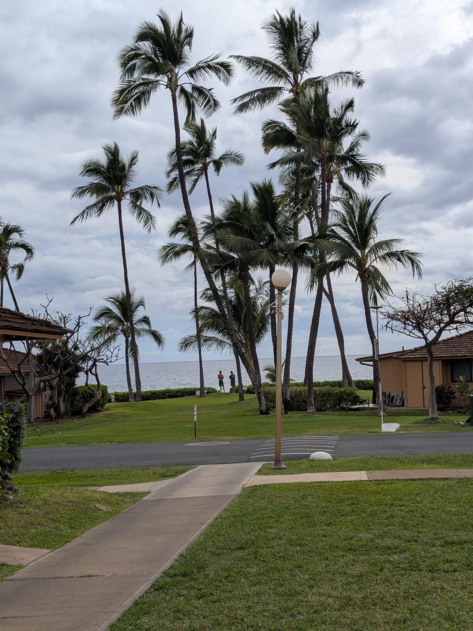 View from dolphin pool path towards beach access.