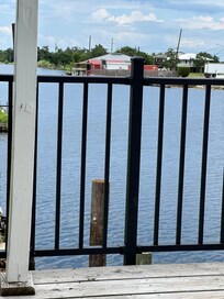 The beautiful bayou