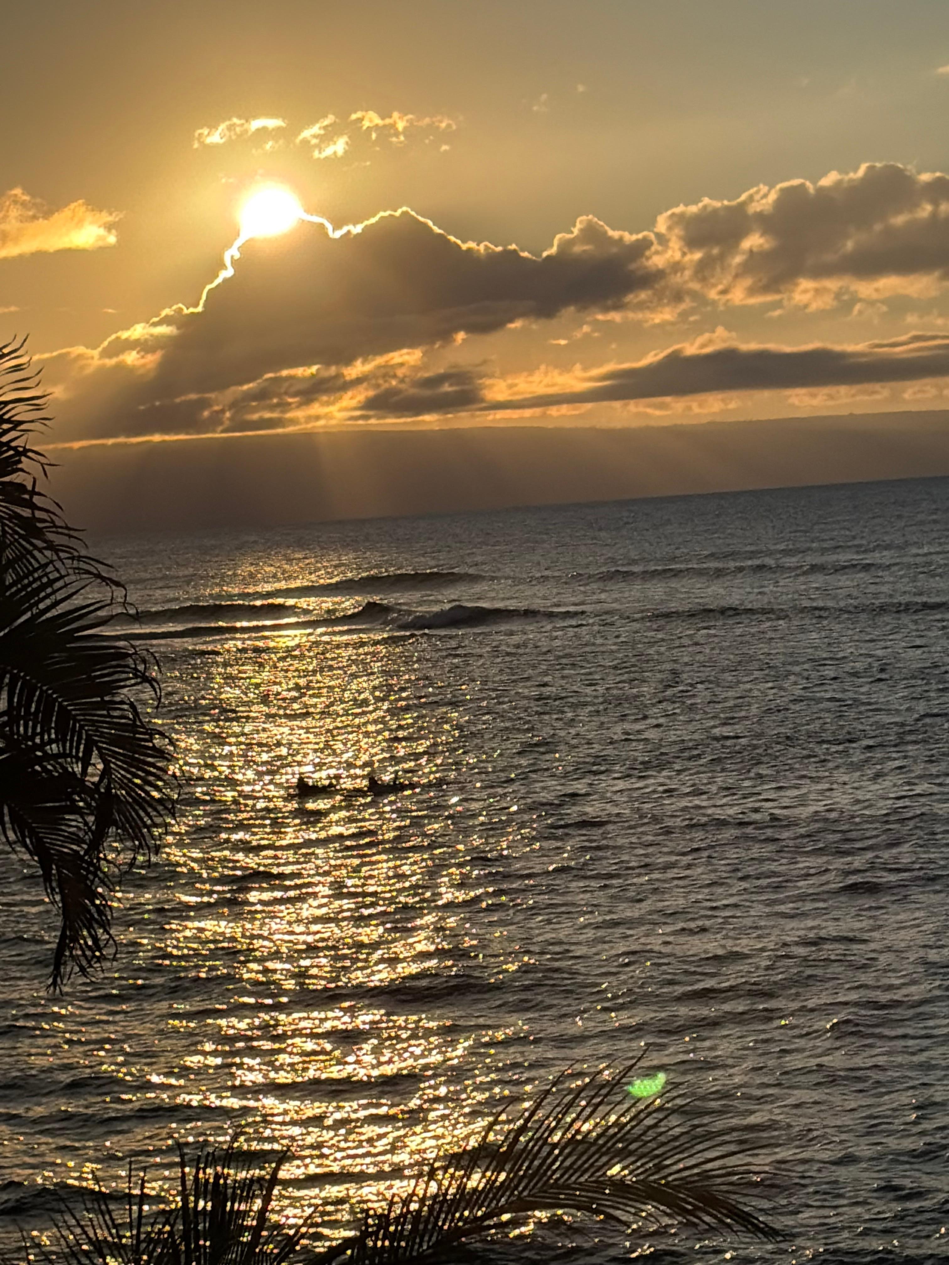 Surfers coming in at sunset