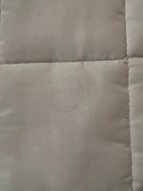 Hair on the bedspread.