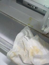 Refrigerator filthy