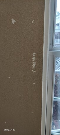 Walls had paint missing