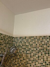 Mold on the wall