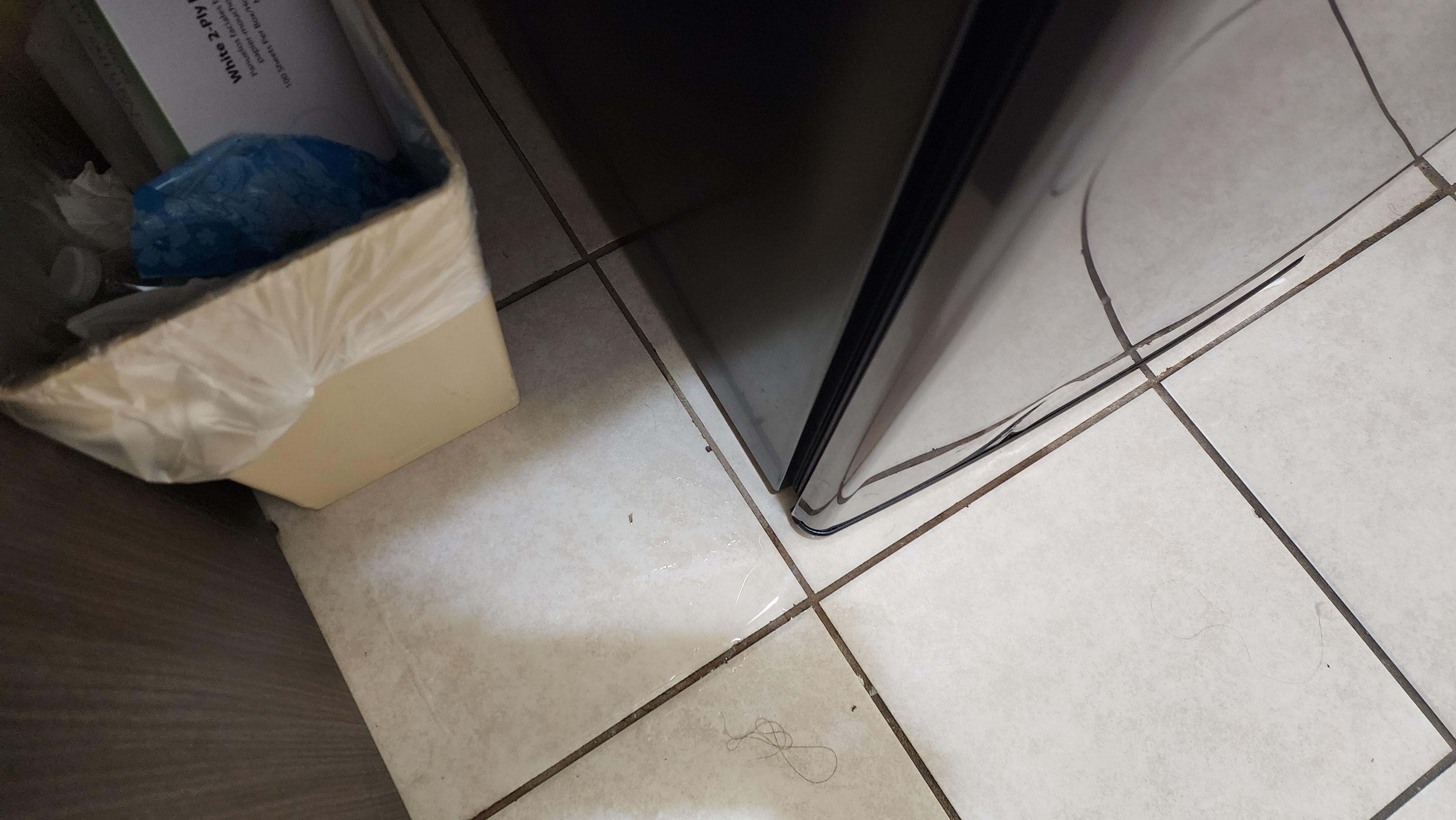Fridge was leaking water from condensation