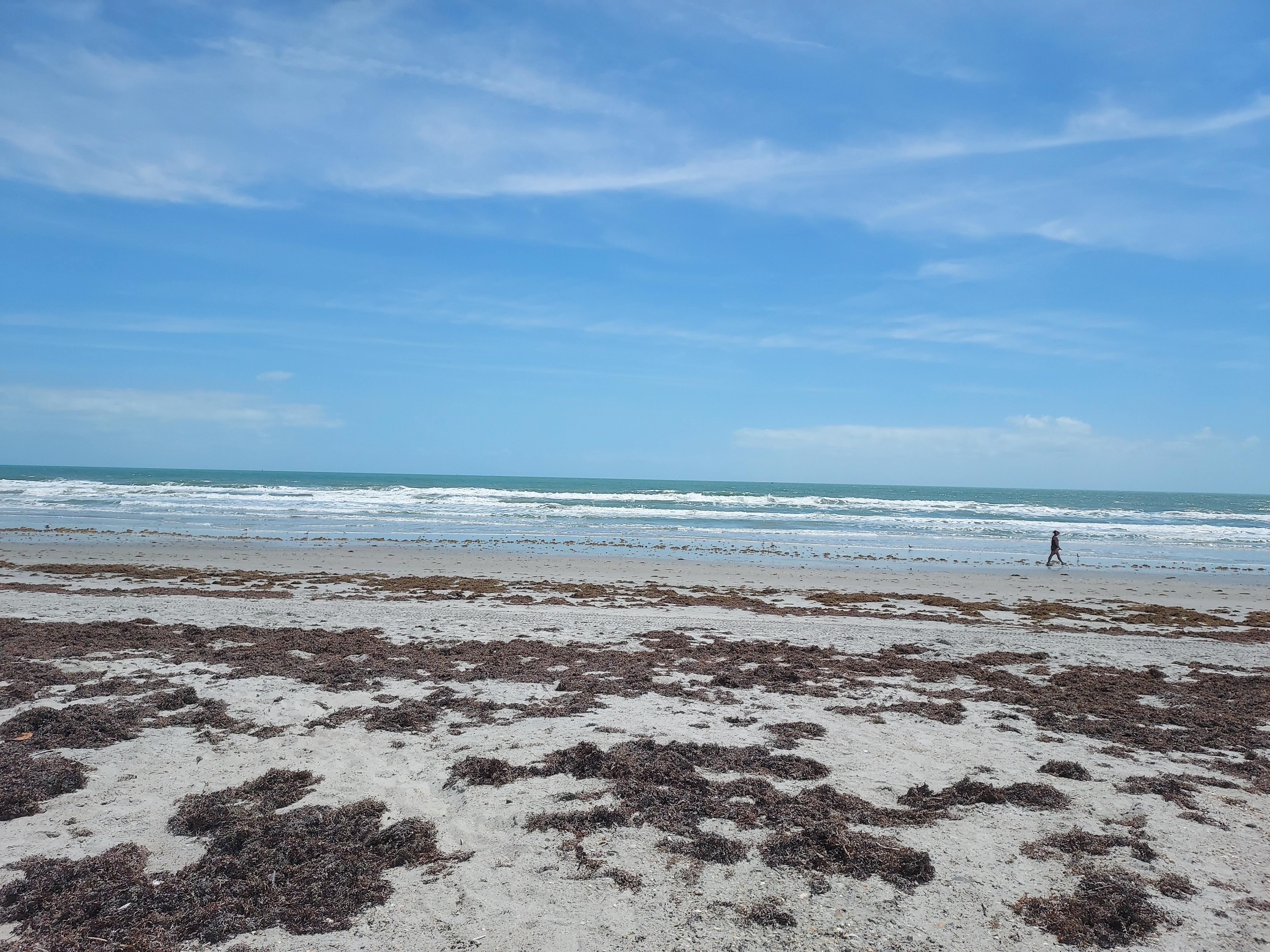 Private beach mid April.