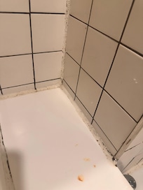 Mold