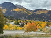 Aspen trees blanket the mountainside view!