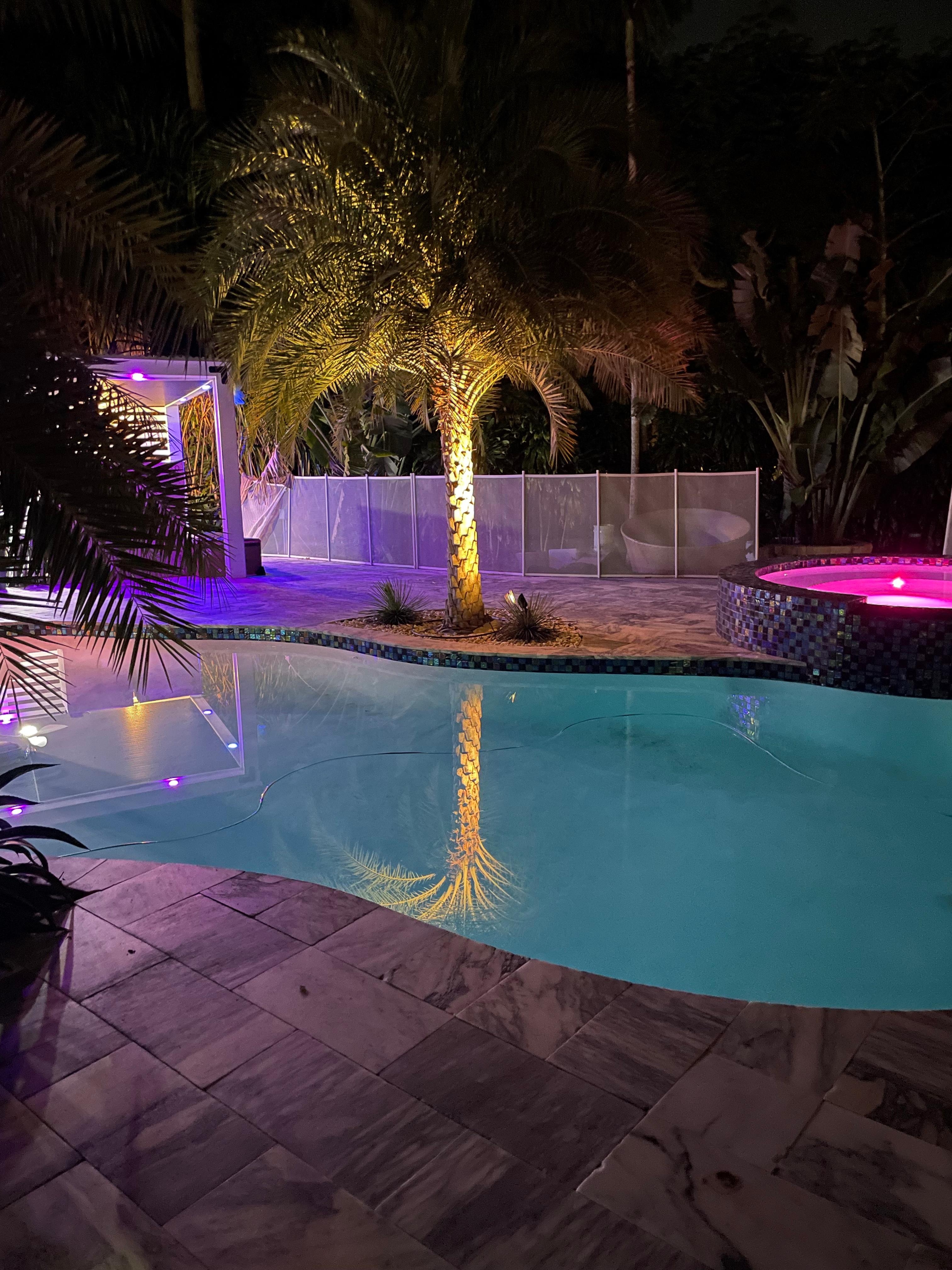 Loved the night lights by the pool in Miami colors