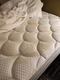 The mattress that was said it couldn't be wet because of mattress protector pad and missed by housekeeping.